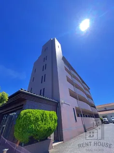 コスモス ミソノの画像