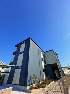 アロ ラウレア Kの画像