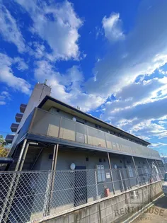 ハイツディオ【2階】の外観