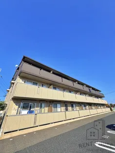 ビスターレの画像