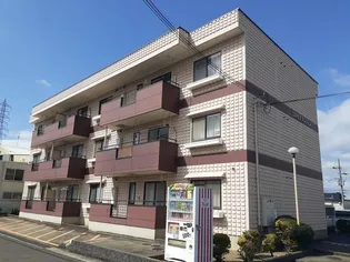 コスモスマンション【1階】の外観