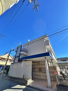 ハマデラプントの画像