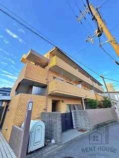 ブルガー光の画像