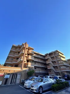 ベルフォート和泉の画像