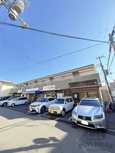 グリーンファンタンの画像