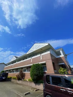 ブランドールの画像