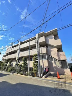 リュックスギオンの画像