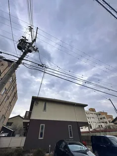 シャーメゾンオプスの画像