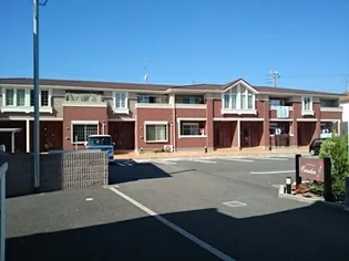 カーネーションの画像