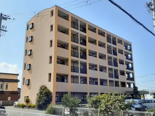 グレイス恵風の画像