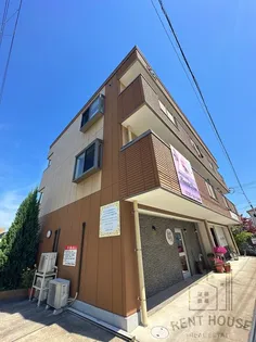 マヒナイズミの画像