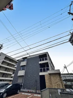 ベル ハイネスの画像