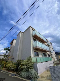 SHAMAISON PINOの画像