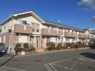 ソフトリーⅠの画像