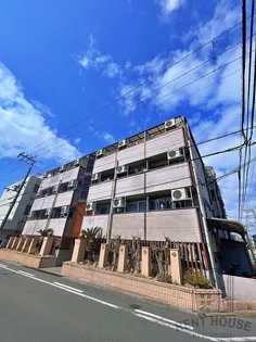 エストラビラの画像