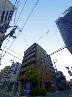 リアルなかもずの画像