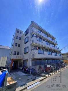 コスモの画像