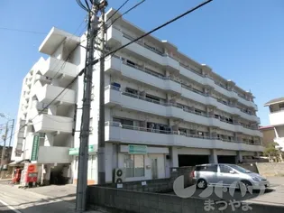マンションふじ【205号室】の外観