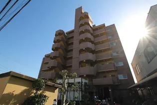 Sキャメリアの画像