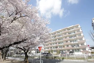 TーONE MIYAHARA WEST Bの画像