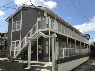 ライトガーツェの画像