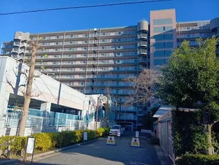 白井ロジュマンの画像