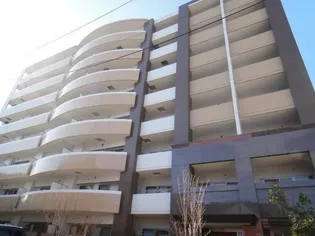 グリシーヌの画像