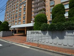 南青山第一マンションズの画像