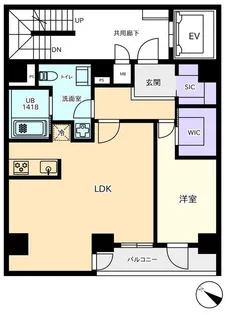 プラティーク日本橋水天宮【13階】の間取り