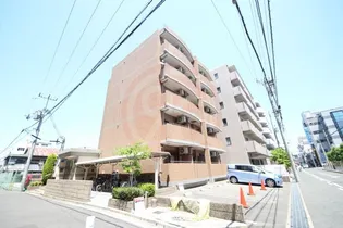 プリムローズHY1の画像