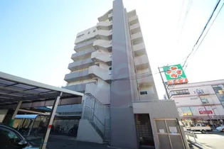 ヴィータラフィナータの画像