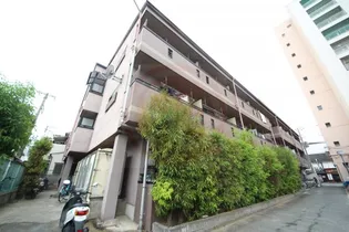 ロイヤルガーデン【317号室】の外観