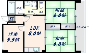 ジュネスニッコー【3階】の間取り