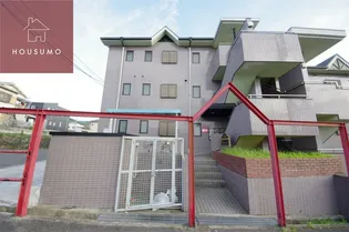 ハピネスの画像