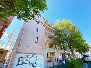 大阪府東大阪市吉松1丁目【マンション】の外観