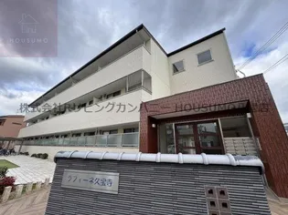 ラフィーネ久宝寺【107号室】の外観