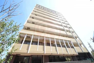 大阪府東大阪市菱屋西1丁目【マンション】の外観