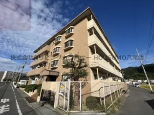 ビューハイム茶の木【3階】の外観