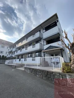 アルス シンコーの画像