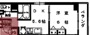 第13関根マンション【8階】の間取り
