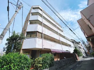 大阪府東大阪市長堂2丁目【マンション】の外観