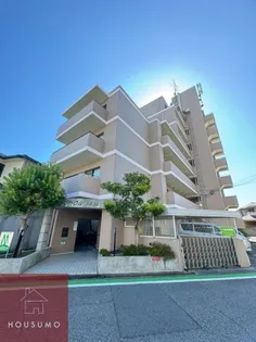 シュシュの画像