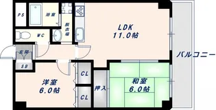 クレージュ【506号室】の間取り