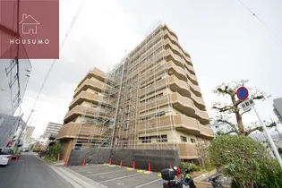 ヴィルヌーブソシアの画像