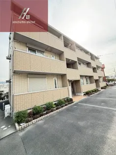 ステラ平野屋の画像