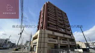 川辺辻岡マンション【7階】の外観