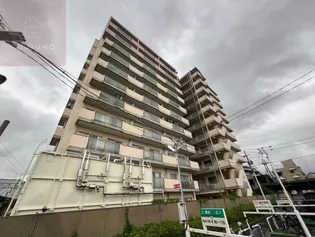 ハイムカランツの画像