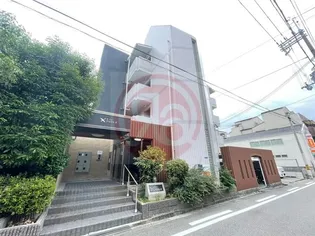 セゾンアルビレオ【4階】の外観