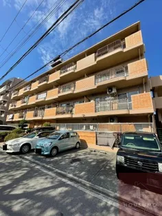 第2エクセルハイツの画像