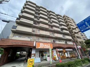 タツミ第6ハイツ新館の画像